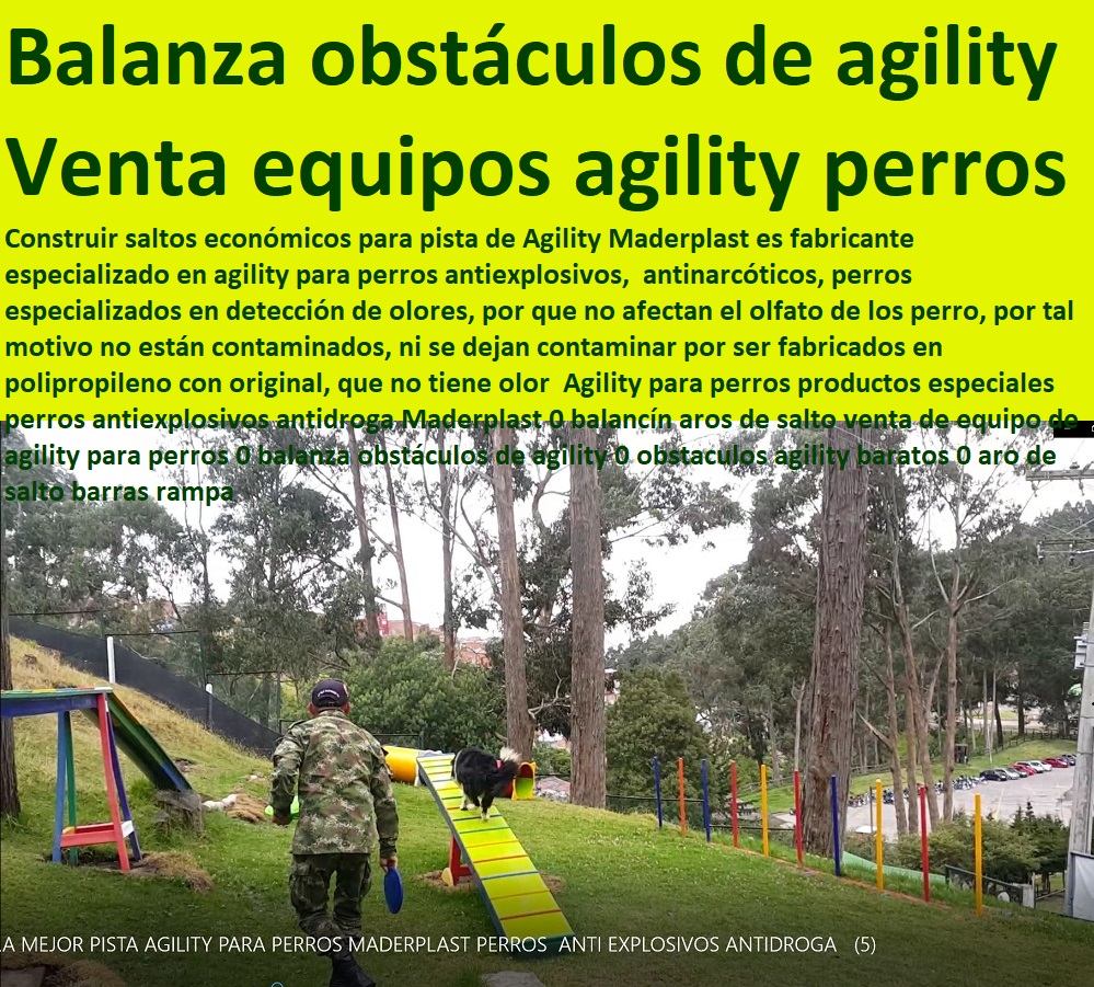 Agility para perros productos especiales perros antiexplosivos antidroga Maderplast 0 balancín aros de salto venta de equipo de agility para perros 0 balanza obstáculos de agility 0 obstaculos agility baratos 0 aro de salto barras rampa 